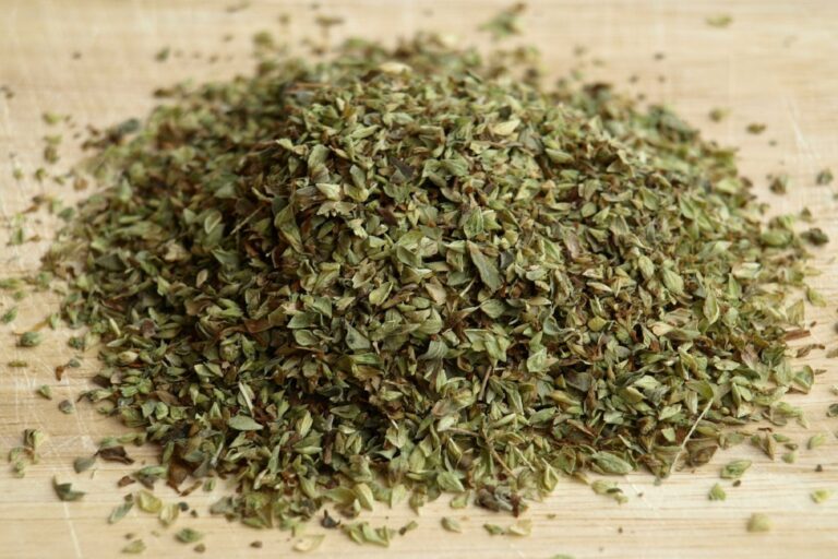 oregano-1