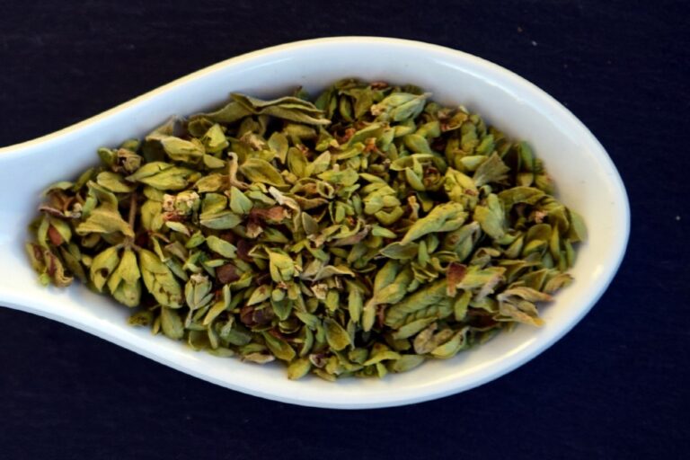 oregano-2