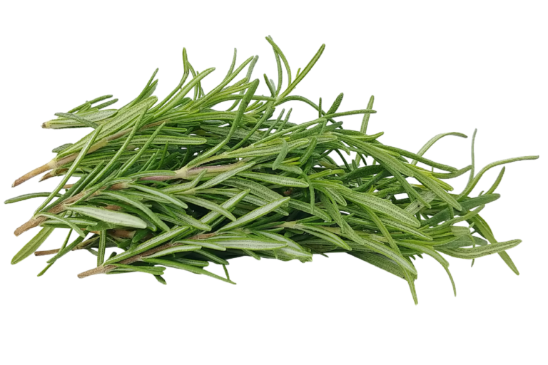 rosemary