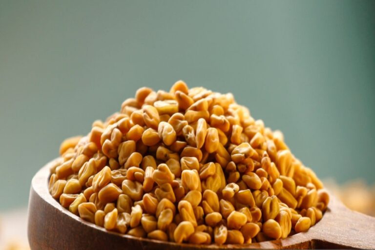Fenugreek seeds in wooden spoon