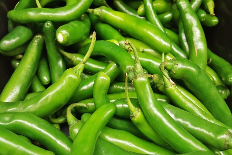 Green Chilly