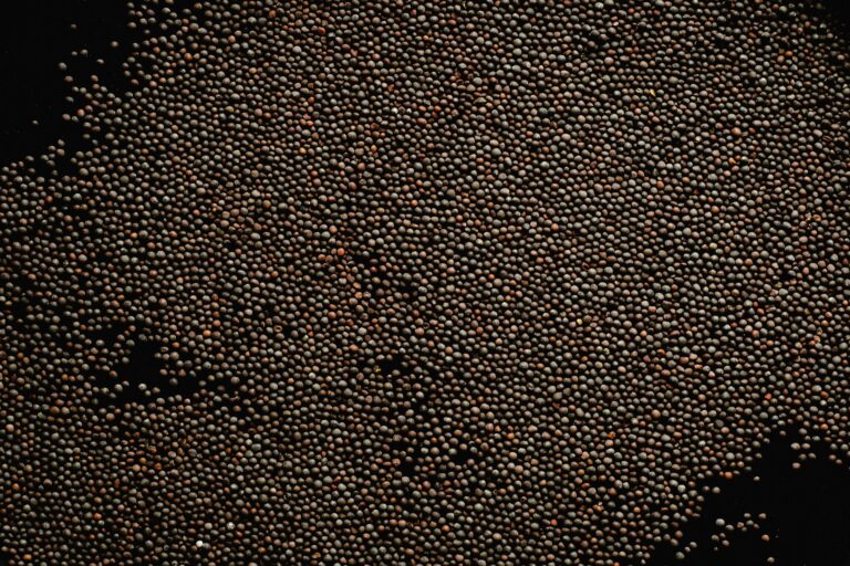 Mustard-1