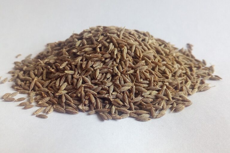 cumin-1