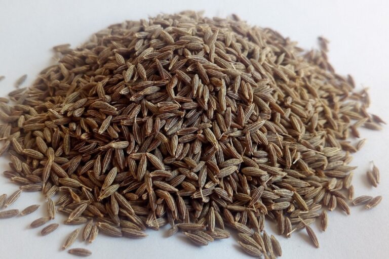 cumin-2