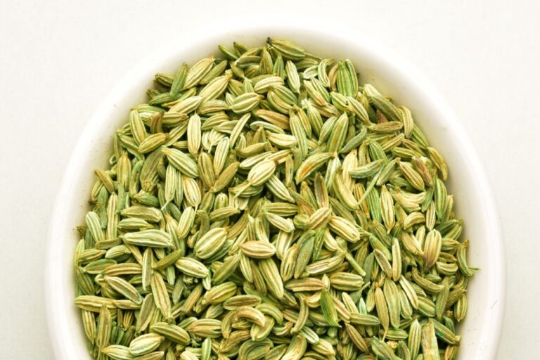fennel seeds in white bowl isolated on white background, top view