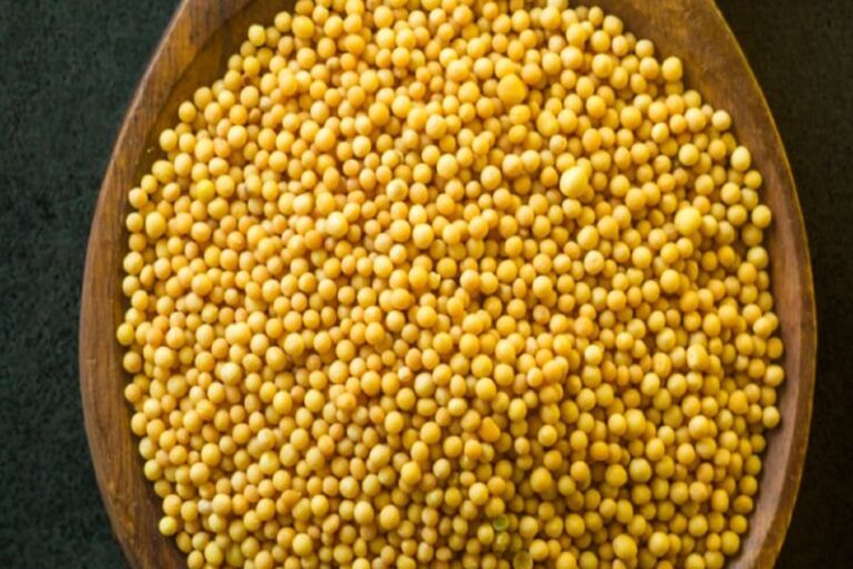 Rai or raw yellow and black Mustard on wooden spoon