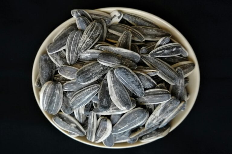 sunflower seeds-2