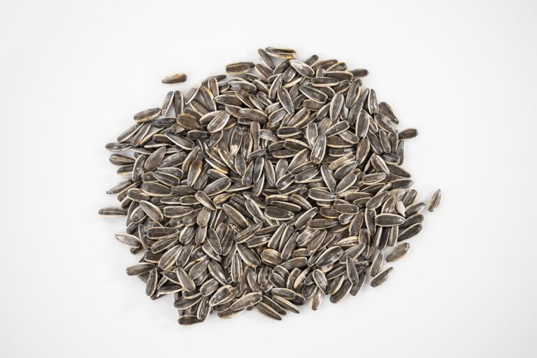 sunflower seeds