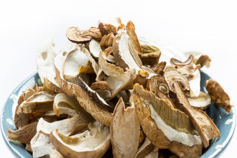 Dried boletus mushrooms in a bowl isolated on a white background.