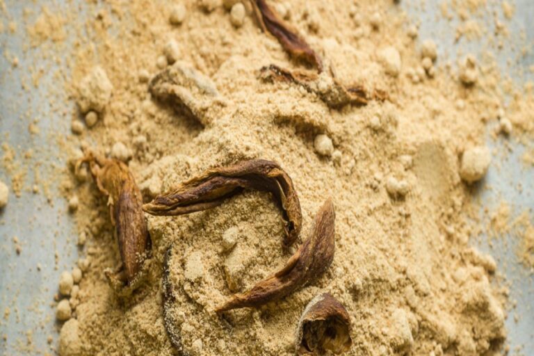 Close-up of dry mango powder and dry mango