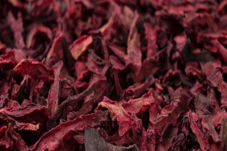 Dried beetroot slices. food ingredient. Macro photo. Shallow depth of field.