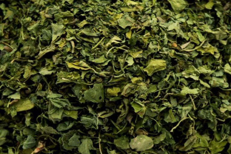 Kasuri Methi / Kasoori Methi or dried fenugreek leaves also known as Trigonella Foenum Graecum